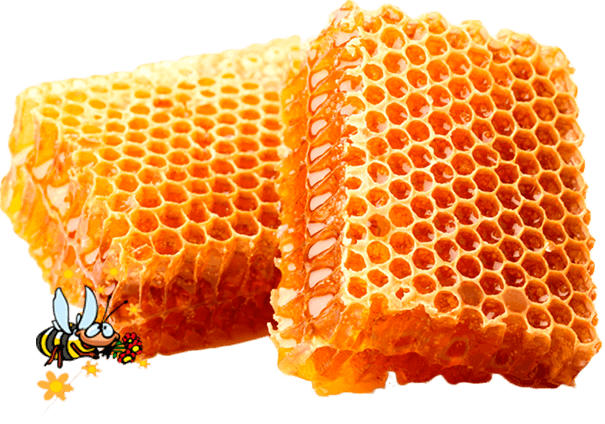 beekeeping